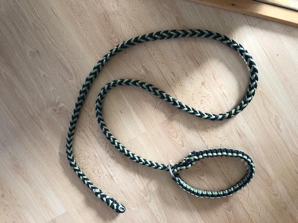 Paracord individuelle Hundeleine